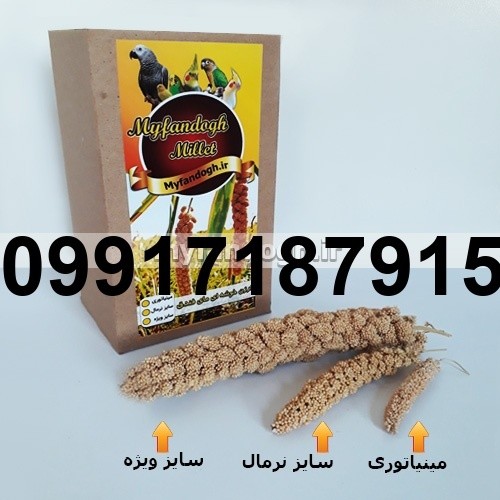 خرید ارزن برای مرغ عشق - تصویر 5