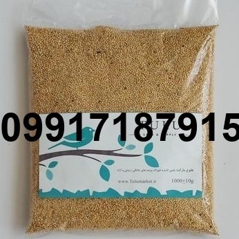 خرید اینترنتی ارزن پرنده - تصویر 7