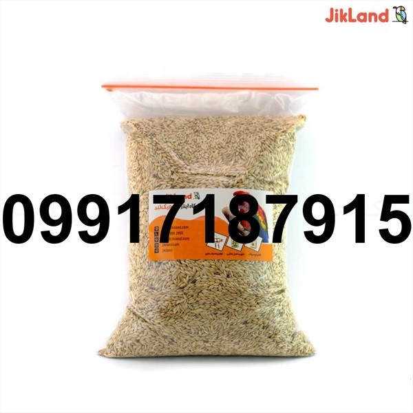 خرید اینترنتی تخم کتان - تصویر 5