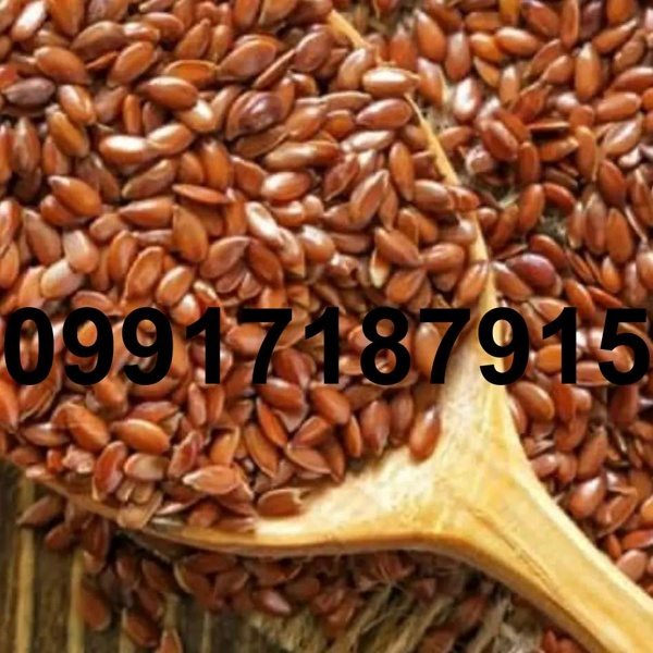 خرید اینترنتی تخم کتان - تصویر 7