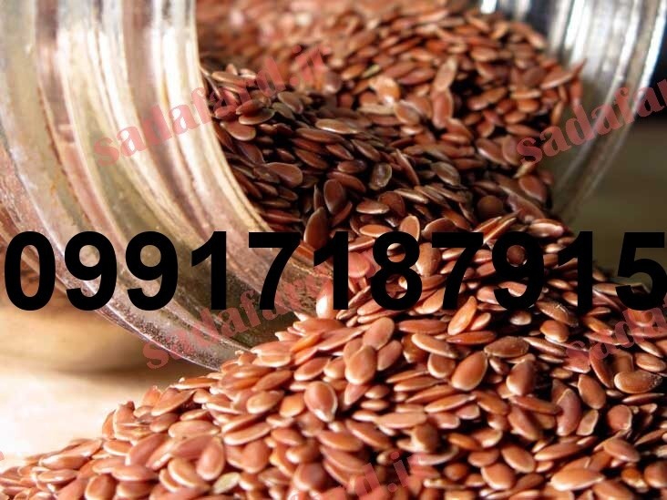 خرید اینترنتی تخم کتان - تصویر 8