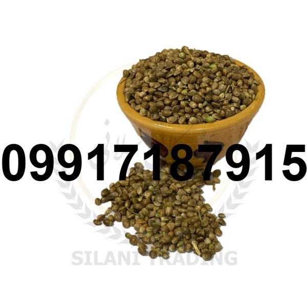 خرید تخم شاهدانه ماده - تصویر 5