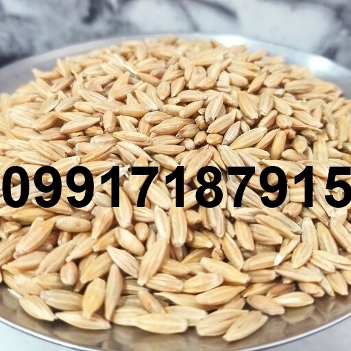 خرید جو با پوست - تصویر 6