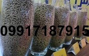 خرید دان مرغ عمده - تصویر 1