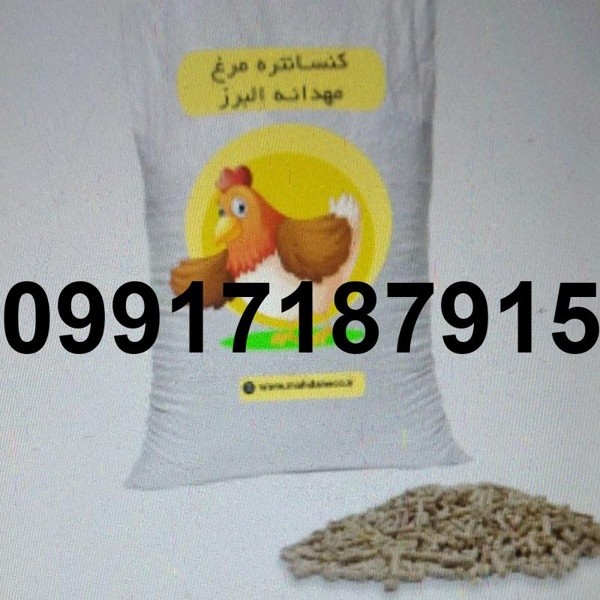 خرید دان پلت مرغ - تصویر 7