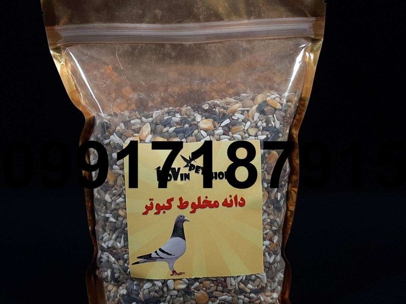 خرید دانه مخلوط کبوتر - تصویر 2
