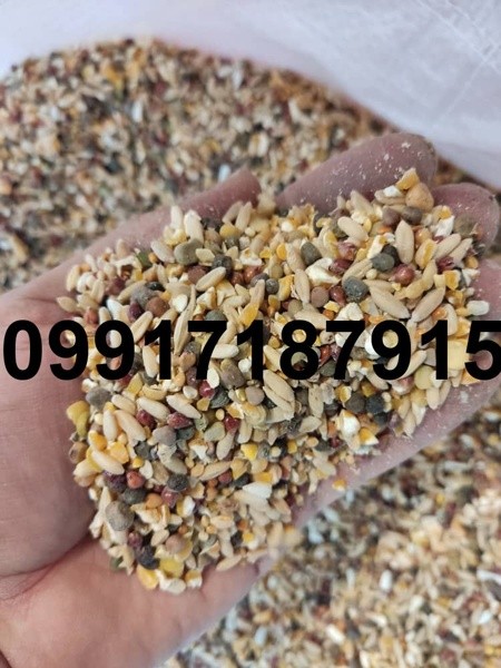 خرید دانه مخلوط کبوتر - تصویر 8