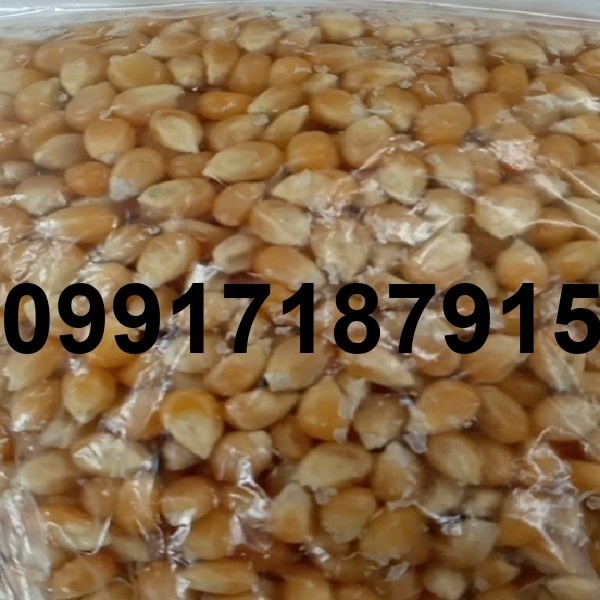 خرید ذرت خرد شده - تصویر 8