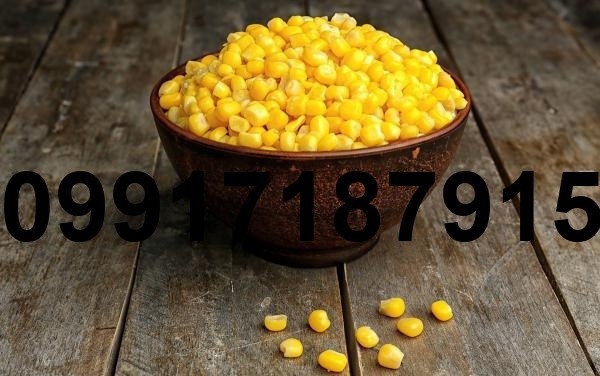 خرید ذرت دانه ای - تصویر 4