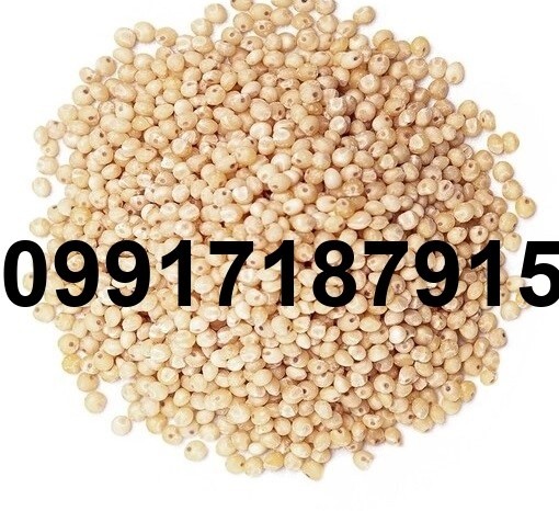 خرید ذرت سفید - تصویر 6