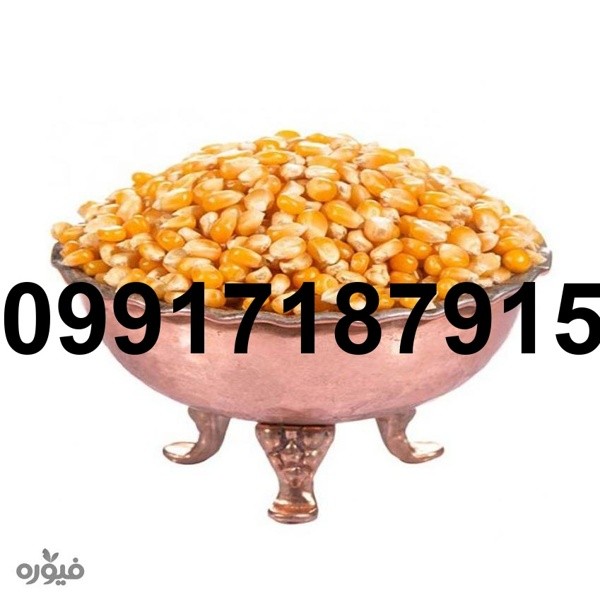 خرید ذرت فله - تصویر 4