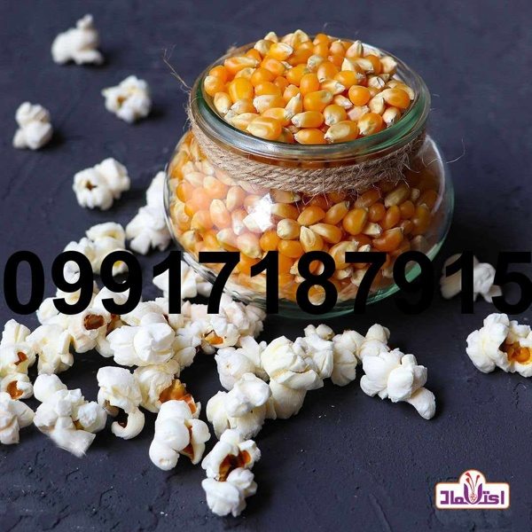 خرید ذرت پفیلا - تصویر 4