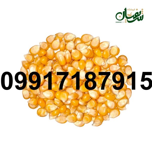 خرید ذرت پفیلا - تصویر 8