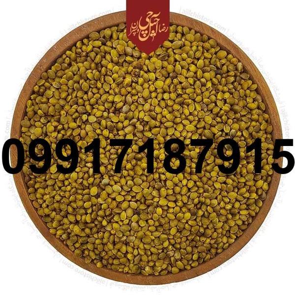 خرید شاهدانه ماده - تصویر 4