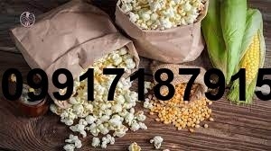 خرید عمده ذرت پاپ کورن - تصویر 6