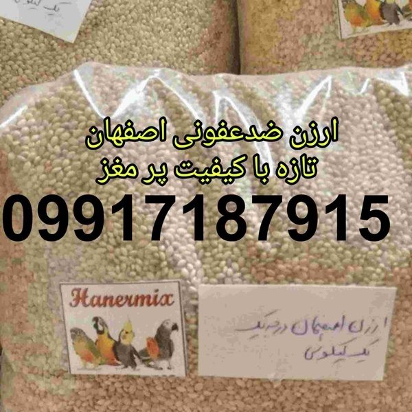 خرید فروش ارزن در اصفهان - تصویر 6