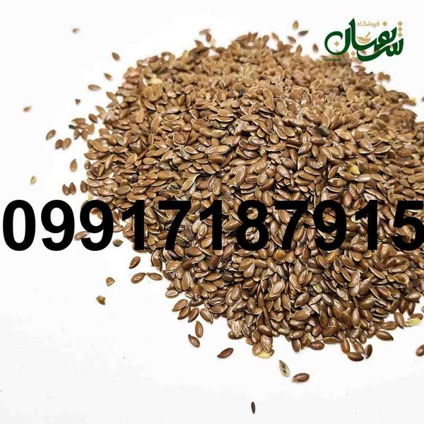 خرید فروش تخم کتان - تصویر 1