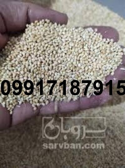 فروش ارزن طبس - تصویر 8
