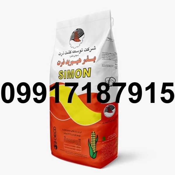 فروش بذر ذرت علوفه سیمون - تصویر 1