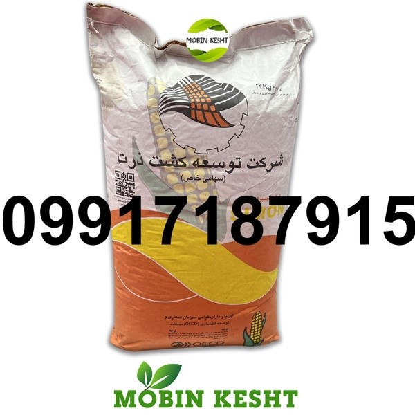 فروش بذر ذرت علوفه سیمون - تصویر 3