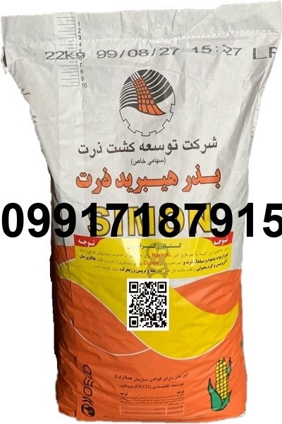 فروش بذر ذرت علوفه سیمون - تصویر 5