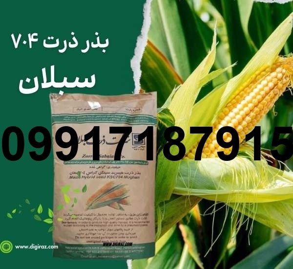 فروش بذر ذرت ۷۰۴ مغان - تصویر 7