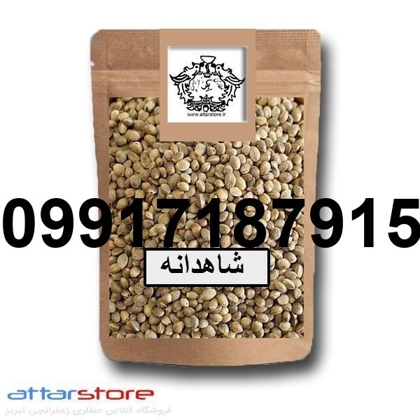 فروش تخم شاهدانه - تصویر 4
