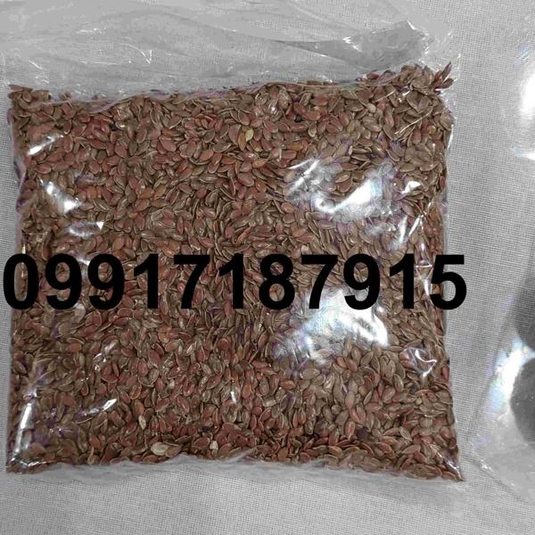 فروش تخم کتان در اصفهان - تصویر 6