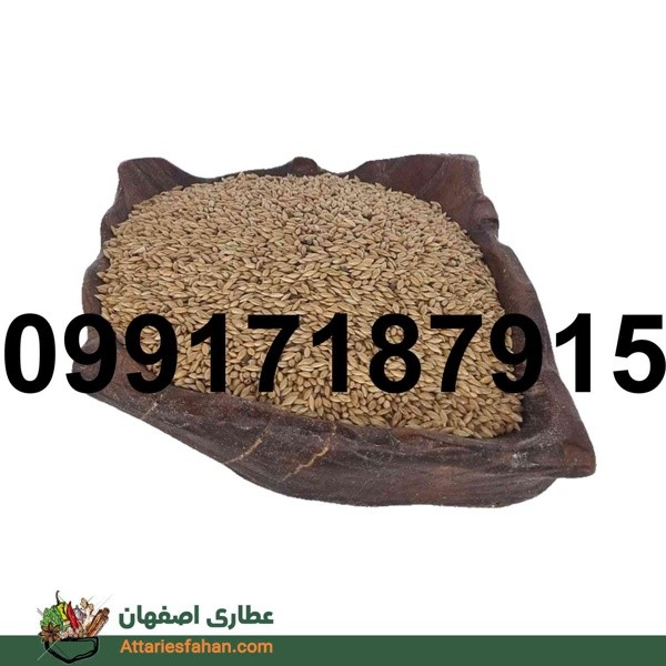 فروش تخم کتان در اصفهان - تصویر 7