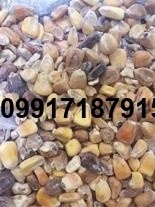 فروش ذرت درجه 2 - تصویر 1