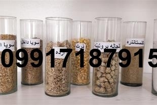 فروش ذرت و سویا - تصویر 5