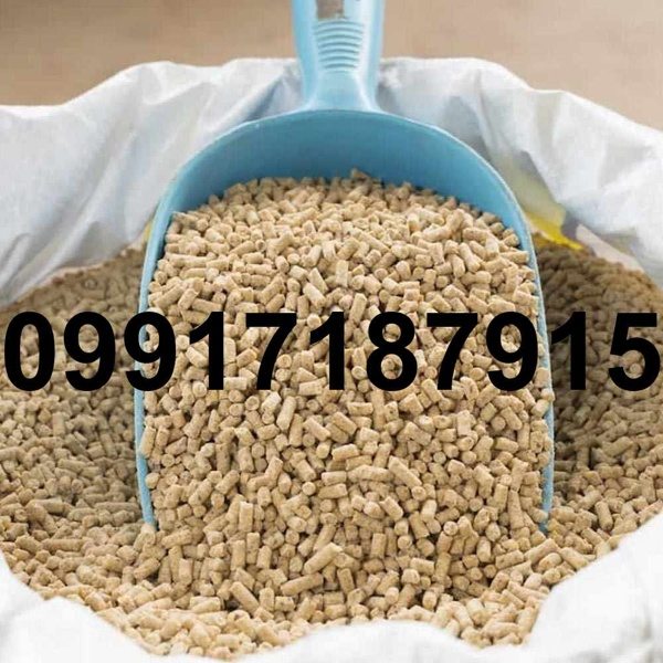 فروش عمده دان مرغ تخمگذار - تصویر 6