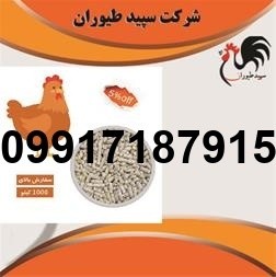 فروش عمده دان مرغ تخمگذار - تصویر 8