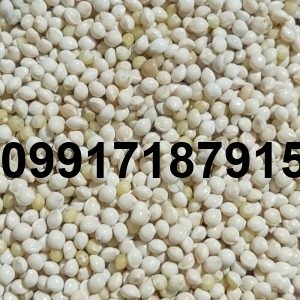 قیمت ارزن ایرانی - تصویر 6