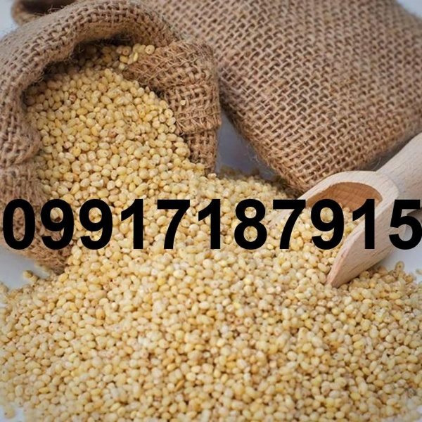 قیمت ارزن ایرانی - تصویر 7