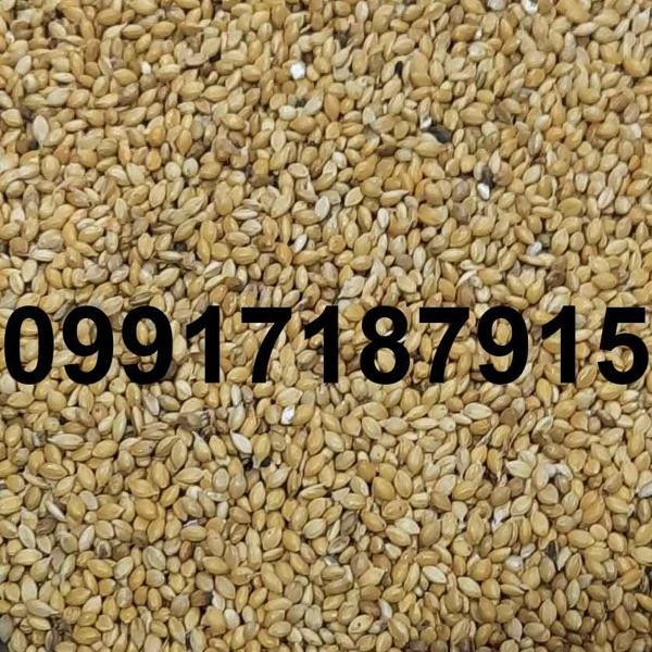 قیمت ارزن ریز - تصویر 3