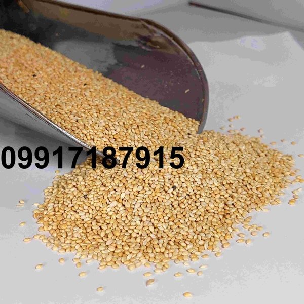 قیمت ارزن ریز اراکی - تصویر 1