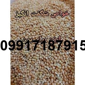 قیمت ارزن فله ای - تصویر 5