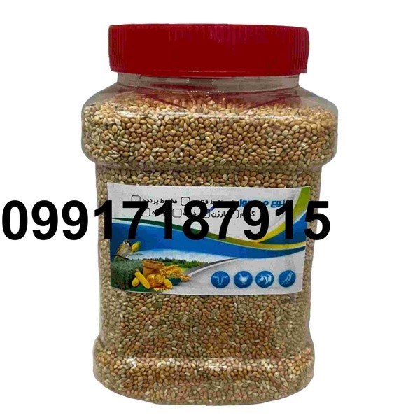 قیمت ارزن و گندم - تصویر 7