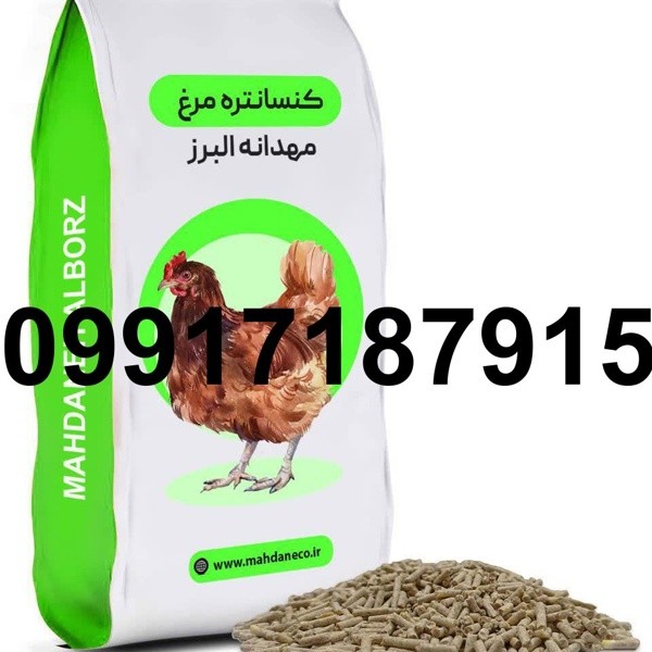 قیمت دان مرغ بومی - تصویر 5