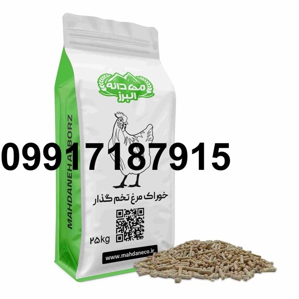 قیمت دان مرغ تخمگذار - تصویر 5