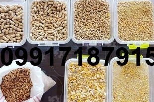 قیمت دان مرغ تخمگذار اصفهان - تصویر 8