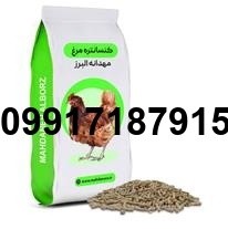 قیمت دان مرغ تخمگذار مشهد - تصویر 1