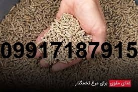 قیمت دان مرغ تخمی - تصویر 1