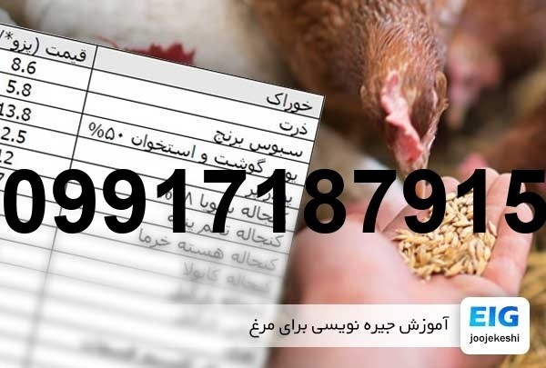 قیمت دان مرغ درنا پلت - تصویر 8