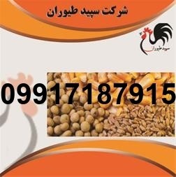 قیمت دان مرغ عمده - تصویر 6
