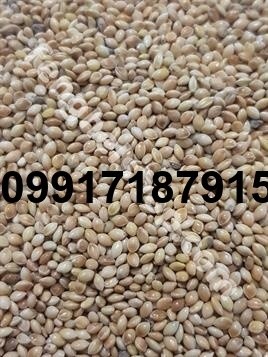 قیمت هر کیلو ارزن - تصویر 2