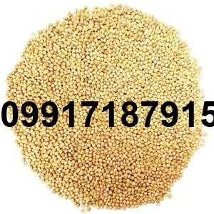 قیمت هر کیلو ارزن - تصویر 3