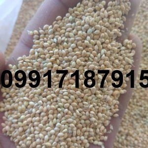 قیمت هر کیلو ارزن - تصویر 7