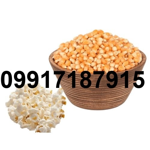 فروش ذرت پفیلا_2